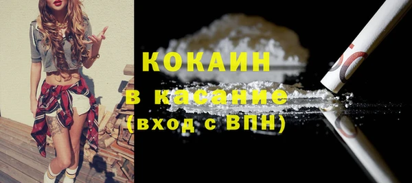 прущие грибы Елизово