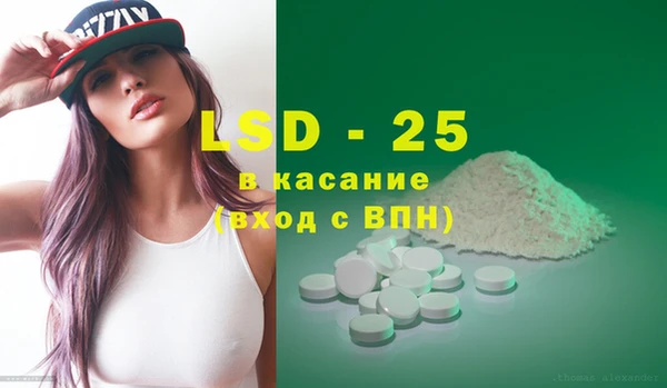 прущие грибы Елизово