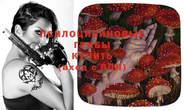 mdpv Ижевск