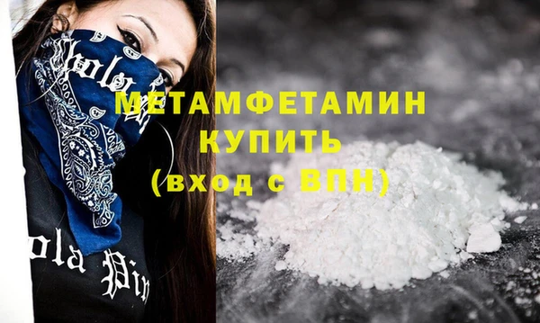 прущие грибы Елизово