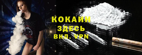прущие грибы Елизово