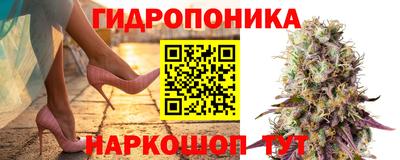 скорость Кинель