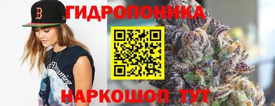 ПСИЛОЦИБИНОВЫЕ ГРИБЫ Кимры