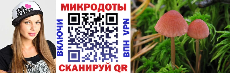 Псилоцибиновые грибы прущие грибы  Рославль 