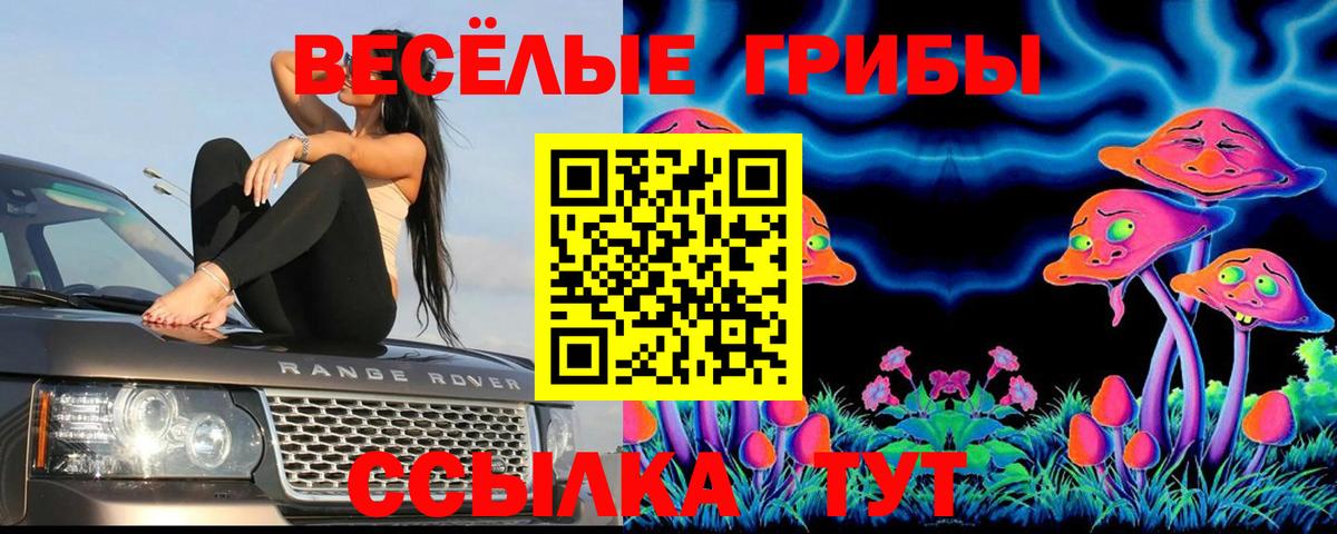 Рославль  Галлюциногенные грибы Psilocybe  закладка  Вход с VPN 