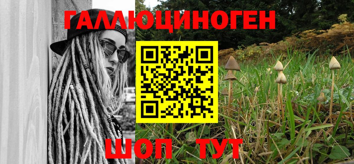 Галлюциногенные грибы Magic Shrooms Рославль